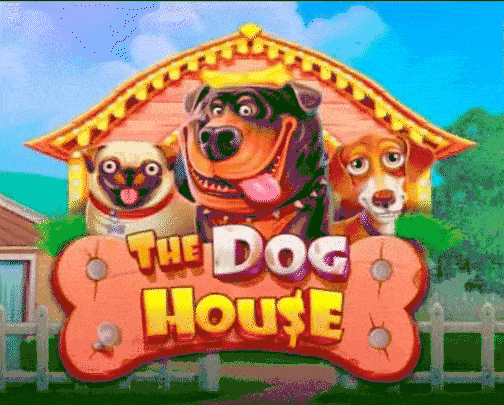 play The Dog House in casino